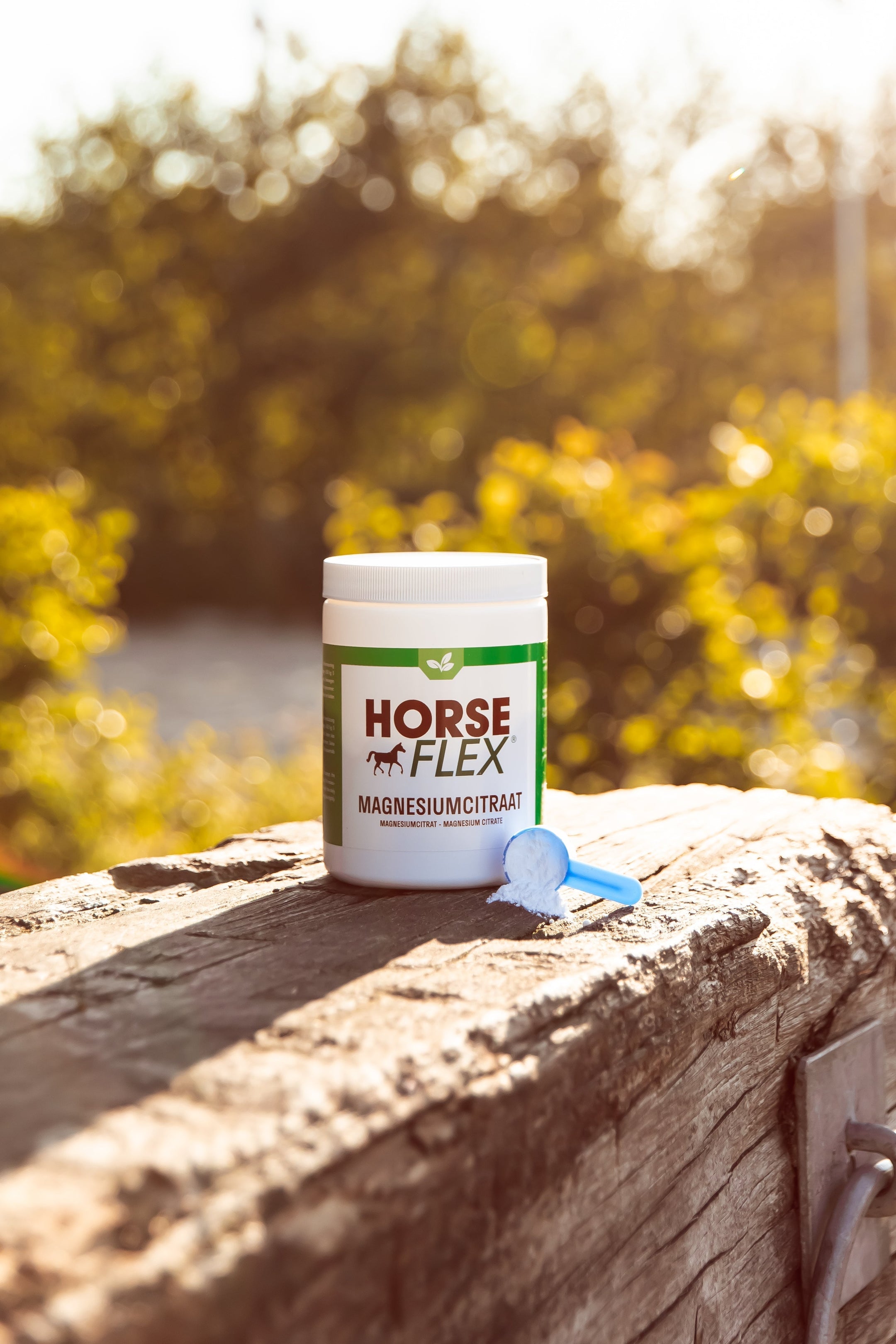 Die Bedeutung von Magnesium für dein Pferd