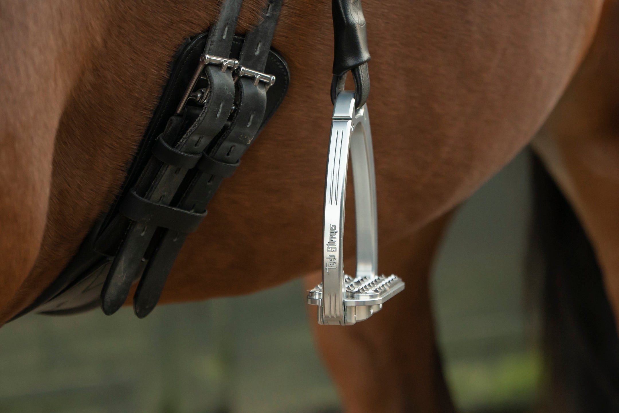 Tech Stirrups – Innovation und Sicherheit für jede Disziplin
