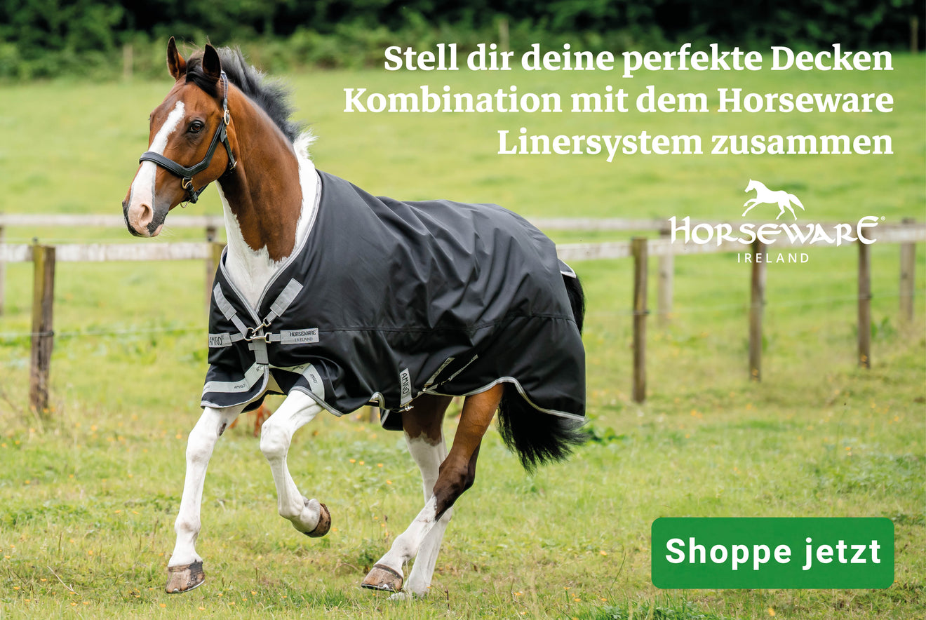 Amigo Turnout 1200D Amigo Turnout 1200D