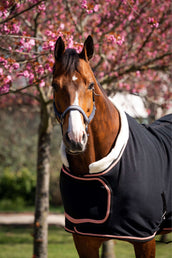 HB Showdecke Showtime Rose Gold Schwarz HB Showdecke Showtime Rose Gold Schwarz