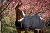 HB Showdecke Showtime Rose Gold Schwarz HB Showdecke Showtime Rose Gold Schwarz