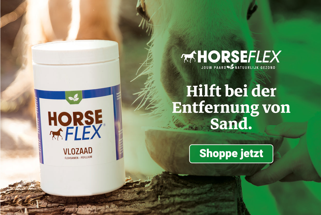 HorseFlex vlozaad HorseFlex vlozaad