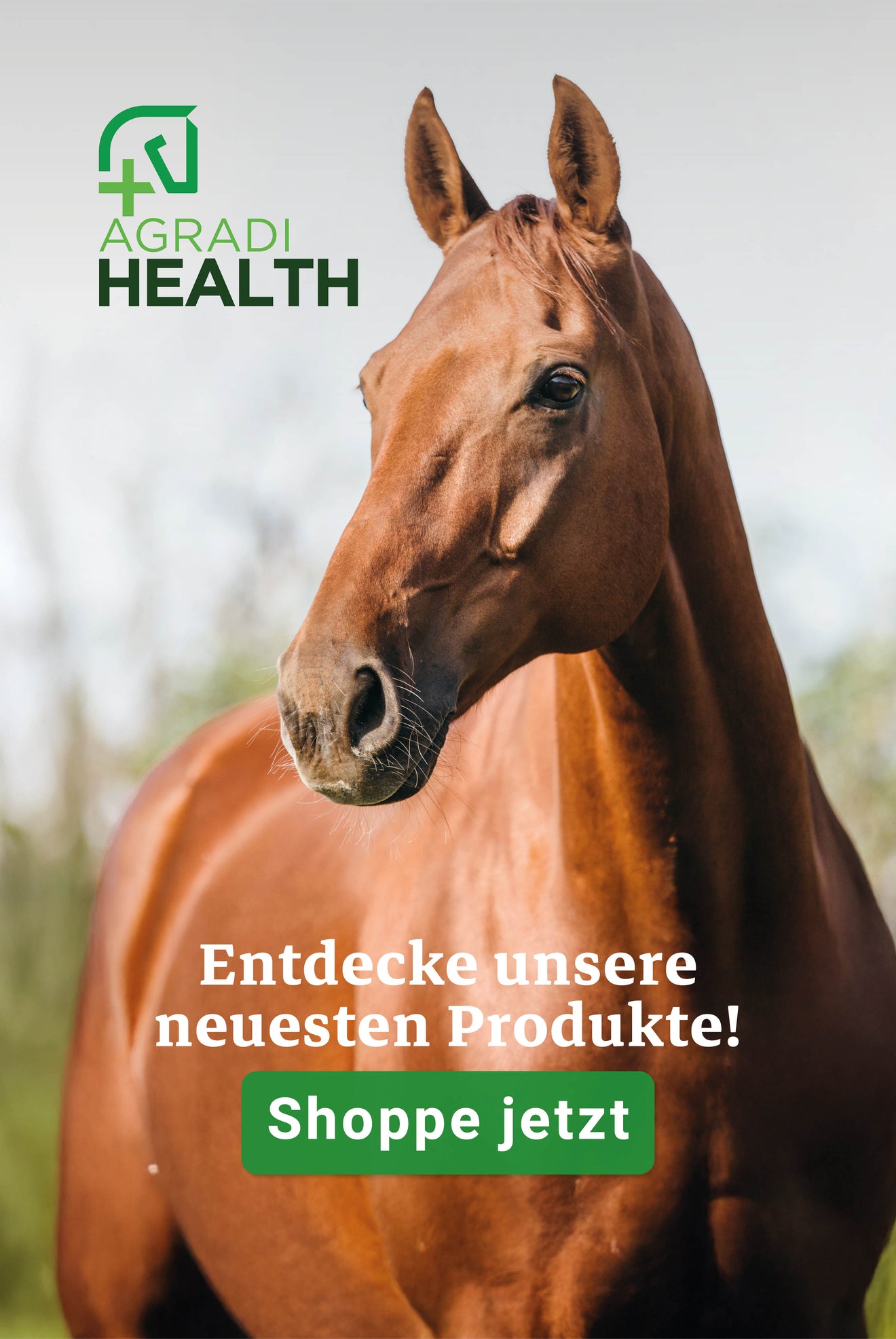 Agradi Health Agradi Health