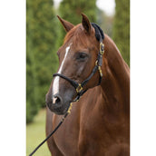 Covalliero Führstrick Anniversary Panikhaken Graphite Covalliero Führstrick Anniversary Panikhaken Graphite