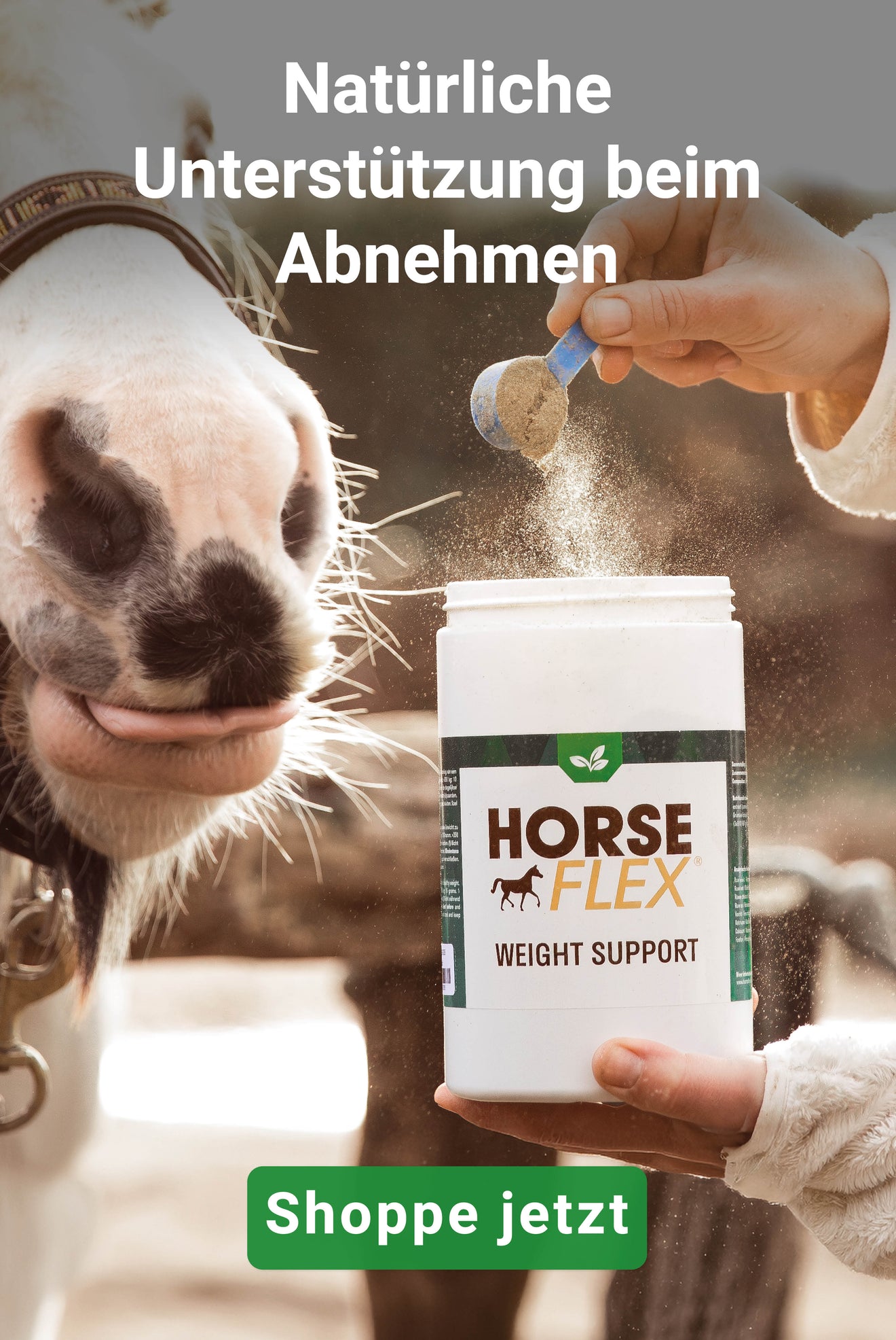 HorseFlex WeightSupport HorseFlex WeightSupport
