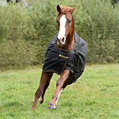 Bucas Irish Turnout Light 0g Schwarz/Gold Bucas Irish Turnout Light 0g Schwarz/Gold