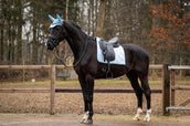 Showtime Schabracke Spring Dressur Hellblau Showtime Schabracke Spring Dressur Hellblau