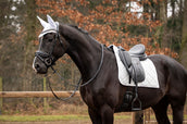 Showtime Schabracke Spring Dressur Silber Showtime Schabracke Spring Dressur Silber