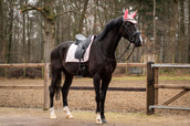 Showtime Schabracke Spring Dressur Rosa Showtime Schabracke Spring Dressur Rosa