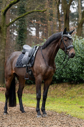 Showtime Schabracke Rio Dressur Schwarz Showtime Schabracke Rio Dressur Schwarz