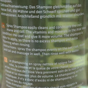 Rapide Shampoo Rapide Shampoo