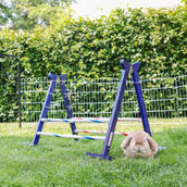 Kerbl Agility Kombisprung für Nager 2 Kerbl Agility Kombisprung für Nager 2