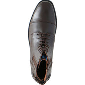 BR Jodhpurs CL Noblesse Lace Damen Kaffee Braun BR Jodhpurs CL Noblesse Lace Damen Kaffee Braun