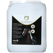 Excellent Equi Total Balance Excellent Equi Total Balance