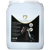 Excellent Equi Total Balance Excellent Equi Total Balance