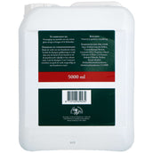 Grand National Shampoo Equipe Grand National Shampoo Equipe