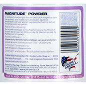 Equine America Magnitude Equine America Magnitude