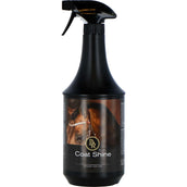 BR Coat Shine Spray BR Coat Shine Spray