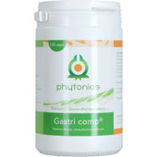 Phytonics Gastri Comp Human Phytonics Gastri Comp Human