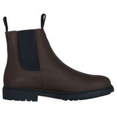 Suedwind Stiefeletten New Work Chocolate Suedwind Stiefeletten New Work Chocolate