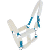 Norton Halfter Vollständig Kunstschaffell Ecru/Electric Blue Norton Halfter Vollständig Kunstschaffell Ecru/Electric Blue