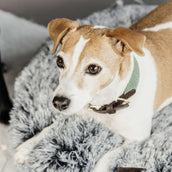 Kentucky Kragen Jacquard Olivgrün Kentucky Kragen Jacquard Olivgrün