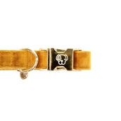 Kentucky Kragen Velvet Senffarben Kentucky Kragen Velvet Senffarben