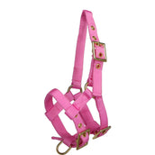 Norton Halfter Mini Verstellbar Rosa Norton Halfter Mini Verstellbar Rosa