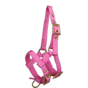 Norton Halfter Mini Verstellbar Rosa Norton Halfter Mini Verstellbar Rosa
