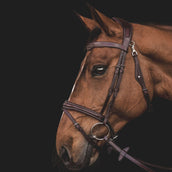 Equiline Trense JP Anatomisch Light Braun Equiline Trense JP Anatomisch Light Braun