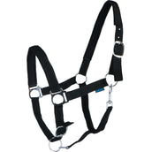 Norton Halfter mit Neopren Ausgekleidet Schwarz Norton Halfter mit Neopren Ausgekleidet Schwarz