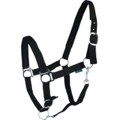 Norton Halfter mit Neopren Ausgekleidet Schwarz Norton Halfter mit Neopren Ausgekleidet Schwarz