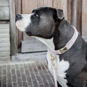 Kentucky Hundeleine Velvet Soft Rose Kentucky Hundeleine Velvet Soft Rose