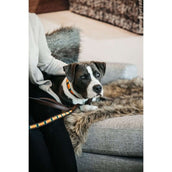 Kentucky Kragen Handgemachte Perlen Pure Orange Kentucky Kragen Handgemachte Perlen Pure Orange