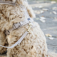 Kentucky Hundeleine Velvet Beige Kentucky Hundeleine Velvet Beige
