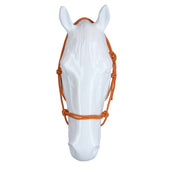 F.R.A. Reit- Ausbildungshalfte Babia Ruchi Collection Nylon Rot/Gelb F.R.A. Reit- Ausbildungshalfte Babia Ruchi Collection Nylon Rot/Gelb