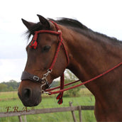 F.R.A. Trensenzaum Bodanza Baumwolle mit abnehmbaren Zügeln Rot/Grün F.R.A. Trensenzaum Bodanza Baumwolle mit abnehmbaren Zügeln Rot/Grün