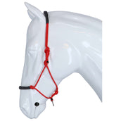 F.R.A. Reit- Ausbildungshalfte Capal Nubuck Profi Rot F.R.A. Reit- Ausbildungshalfte Capal Nubuck Profi Rot