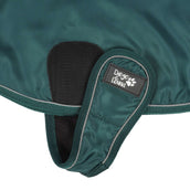 Diego & Louna Hundedecke Teddy Nylon Grün Diego & Louna Hundedecke Teddy Nylon Grün