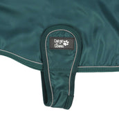 Diego & Louna Hundedecke Teddy Nylon Grün Diego & Louna Hundedecke Teddy Nylon Grün