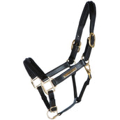 HB Showtime Halfter Horse Name Leder Braun HB Showtime Halfter Horse Name Leder Braun