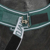 Waldhausen Führanlagendecke 100g Fir Green Waldhausen Führanlagendecke 100g Fir Green