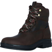 Ariat Stallschuhe Harper Waterproof Damen Chocolat/Willow Ariat Stallschuhe Harper Waterproof Damen Chocolat/Willow