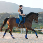 LeMieux Schabracke Luxury Square Dressur Benetton Blau LeMieux Schabracke Luxury Square Dressur Benetton Blau