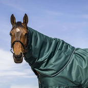 EQUITHÈME Halsstück Tyrex 600D 0g Grün EQUITHÈME Halsstück Tyrex 600D 0g Grün