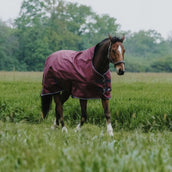 EQUITHÈME Outdoordecke Tyrex 1200D 0g High Neck Burgunderrot EQUITHÈME Outdoordecke Tyrex 1200D 0g High Neck Burgunderrot