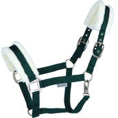 Agradi Horse Halfter First Fir Green Agradi Horse Halfter First Fir Green