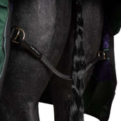 Agradi by Bucas Turnout Rug 0g Grün/Schwarz Agradi by Bucas Turnout Rug 0g Grün/Schwarz