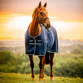 Amigo Ripstop 900D 50g Fleece Lined Witney Navy Amigo Ripstop 900D 50g Fleece Lined Witney Navy