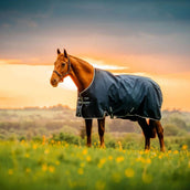 Amigo Ripstop 900D Pony 50g Witney Navy Amigo Ripstop 900D Pony 50g Witney Navy